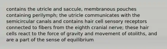 contains the utricle and saccule, membranous pouches containing perilymph; the utricle communicates with the semicircular canals and contains hair cell <a href='https://www.questionai.com/knowledge/kZxhe8RZQ3-sensory-receptors' class='anchor-knowledge'>sensory receptors</a> connected to fibers from the eighth cranial nerve; these hair cells react to the force of gravity and movement of otoliths, and are a part of the sense of equilibrium