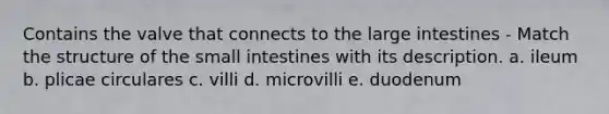 Contains the valve that connects to the large intestines - Match the structure of the small intestines with its description. a. ileum b. plicae circulares c. villi d. microvilli e. duodenum