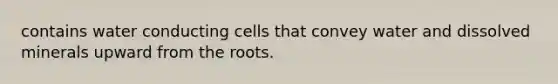 contains water conducting cells that convey water and dissolved minerals upward from the roots.