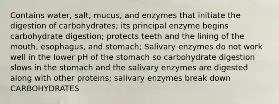 Contains water, salt, mucus, and enzymes that initiate the digestion of carbohydrates; its principal enzyme begins carbohydrate digestion; protects teeth and the lining of the mouth, esophagus, and stomach; Salivary enzymes do not work well in the lower pH of the stomach so carbohydrate digestion slows in the stomach and the salivary enzymes are digested along with other proteins; salivary enzymes break down CARBOHYDRATES