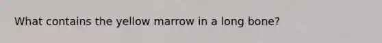 What contains the yellow marrow in a long bone?