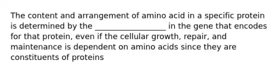 The content and arrangement of amino acid in a specific protein is determined by the __________________ in the gene that encodes for that protein, even if the cellular growth, repair, and maintenance is dependent on amino acids since they are constituents of proteins