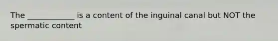 The ____________ is a content of the inguinal canal but NOT the spermatic content