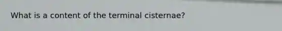 What is a content of the terminal cisternae?