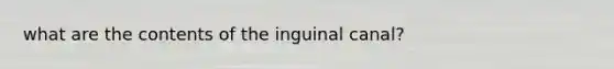 what are the contents of the inguinal canal?