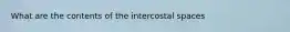 What are the contents of the intercostal spaces