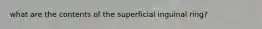 what are the contents of the superficial inguinal ring?