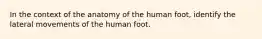 In the context of the anatomy of the human foot, identify the lateral movements of the human foot.