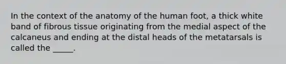 In the context of the anatomy of the human foot, a thick white band of fibrous tissue originating from the medial aspect of the calcaneus and ending at the distal heads of the metatarsals is called the _____.