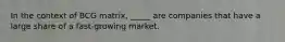 In the context of BCG matrix, _____ are companies that have a large share of a fast-growing market.