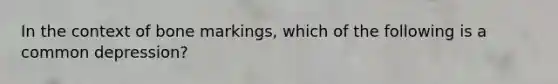 In the context of bone markings, which of the following is a common depression?