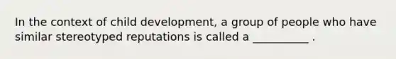 In the context of child development, a group of people who have similar stereotyped reputations is called a __________ .