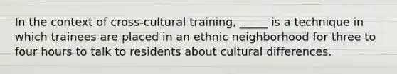 In the context of cross-cultural training, _____ is a technique in which trainees are placed in an ethnic neighborhood for three to four hours to talk to residents about cultural differences.