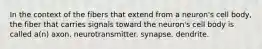 In the context of the fibers that extend from a neuron's cell body, the fiber that carries signals toward the neuron's cell body is called a(n) axon. neurotransmitter. synapse. dendrite.