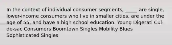 In the context of individual consumer segments, _____ are single, lower-income consumers who live in smaller cities, are under the age of 55, and have a high school education. Young Digerati Cul-de-sac Consumers Boomtown Singles Mobility Blues Sophisticated Singles