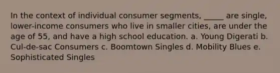 In the context of individual consumer segments, _____ are single, lower-income consumers who live in smaller cities, are under the age of 55, and have a high school education. a. Young Digerati b. Cul-de-sac Consumers c. Boomtown Singles d. Mobility Blues e. Sophisticated Singles