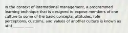 In the context of international management, a programmed learning technique that is designed to expose members of one culture to some of the basic concepts, attitudes, role perceptions, customs, and values of another culture is known as a(n) ______ _____.