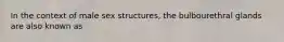 In the context of male sex structures, the bulbourethral glands are also known as