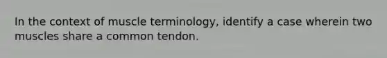 In the context of muscle terminology, identify a case wherein two muscles share a common tendon.