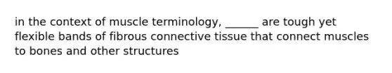 in the context of muscle terminology, ______ are tough yet flexible bands of fibrous connective tissue that connect muscles to bones and other structures