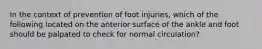 In the context of prevention of foot injuries, which of the following located on the anterior surface of the ankle and foot should be palpated to check for normal circulation?