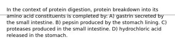 In the context of protein digestion, protein breakdown into its amino acid constituents is completed by: A) gastrin secreted by the small intestine. B) pepsin produced by the stomach lining. C) proteases produced in the small intestine. D) hydrochloric acid released in the stomach.