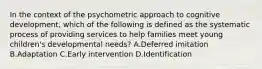 In the context of the psychometric approach to cognitive development, which of the following is defined as the systematic process of providing services to help families meet young children's developmental needs? A.Deferred imitation B.Adaptation C.Early intervention D.Identification