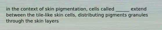 in the context of skin pigmentation, cells called ______ extend between the tile-like skin cells, distributing pigments granules through the skin layers