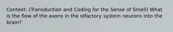 Context: (Transduction and Coding for the Sense of Smell) What is the flow of the axons in the olfactory system neurons into the brain?