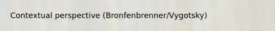 Contextual perspective (Bronfenbrenner/Vygotsky)