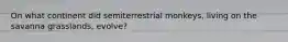 On what continent did semiterrestrial monkeys, living on the savanna grasslands, evolve?