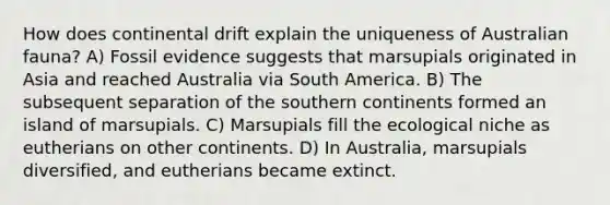 How does continental drift explain the uniqueness of Australian fauna? A) Fossil evidence suggests that marsupials originated in Asia and reached Australia via South America. B) The subsequent separation of the southern continents formed an island of marsupials. C) Marsupials fill the ecological niche as eutherians on other continents. D) In Australia, marsupials diversified, and eutherians became extinct.