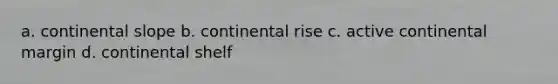 a. continental slope b. continental rise c. active continental margin d. continental shelf