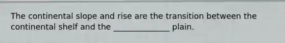 The continental slope and rise are the transition between the continental shelf and the ______________ plain.
