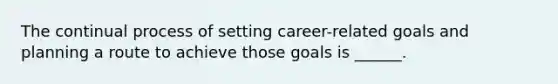 The continual process of setting career-related goals and planning a route to achieve those goals is ______.