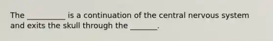 The __________ is a continuation of the central nervous system and exits the skull through the _______.