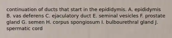 continuation of ducts that start in the epididymis. A. epididymis B. vas deferens C. ejaculatory duct E. seminal vesicles F. prostate gland G. semen H. corpus spongiosum I. bulbourethral gland J. spermatic cord