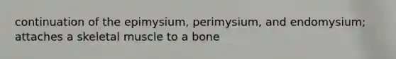 continuation of the epimysium, perimysium, and endomysium; attaches a skeletal muscle to a bone