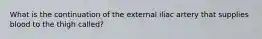 What is the continuation of the external iliac artery that supplies blood to the thigh called?