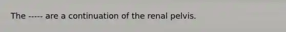 The ----- are a continuation of the renal pelvis.