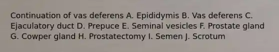 Continuation of vas deferens A. Epididymis B. Vas deferens C. Ejaculatory duct D. Prepuce E. Seminal vesicles F. Prostate gland G. Cowper gland H. Prostatectomy I. Semen J. Scrotum