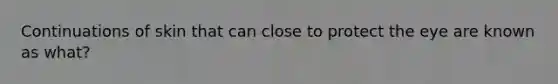 Continuations of skin that can close to protect the eye are known as what?