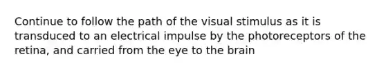 Continue to follow the path of the visual stimulus as it is transduced to an electrical impulse by the photoreceptors of the retina, and carried from the eye to <a href='https://www.questionai.com/knowledge/kLMtJeqKp6-the-brain' class='anchor-knowledge'>the brain</a>