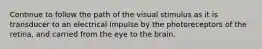 Continue to follow the path of the visual stimulus as it is transducer to an electrical impulse by the photoreceptors of the retina, and carried from the eye to the brain.