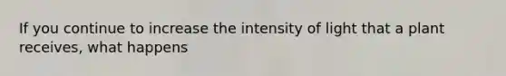 If you continue to increase the intensity of light that a plant receives, what happens