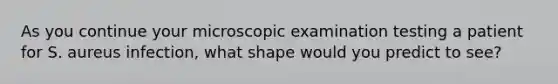 As you continue your microscopic examination testing a patient for S. aureus infection, what shape would you predict to see?