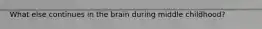 What else continues in the brain during middle childhood?