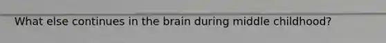 What else continues in the brain during middle childhood?