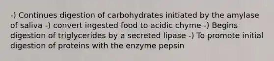 -) Continues digestion of carbohydrates initiated by the amylase of saliva -) convert ingested food to acidic chyme -) Begins digestion of triglycerides by a secreted lipase -) To promote initial digestion of proteins with the enzyme pepsin