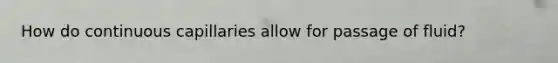 How do continuous capillaries allow for passage of fluid?